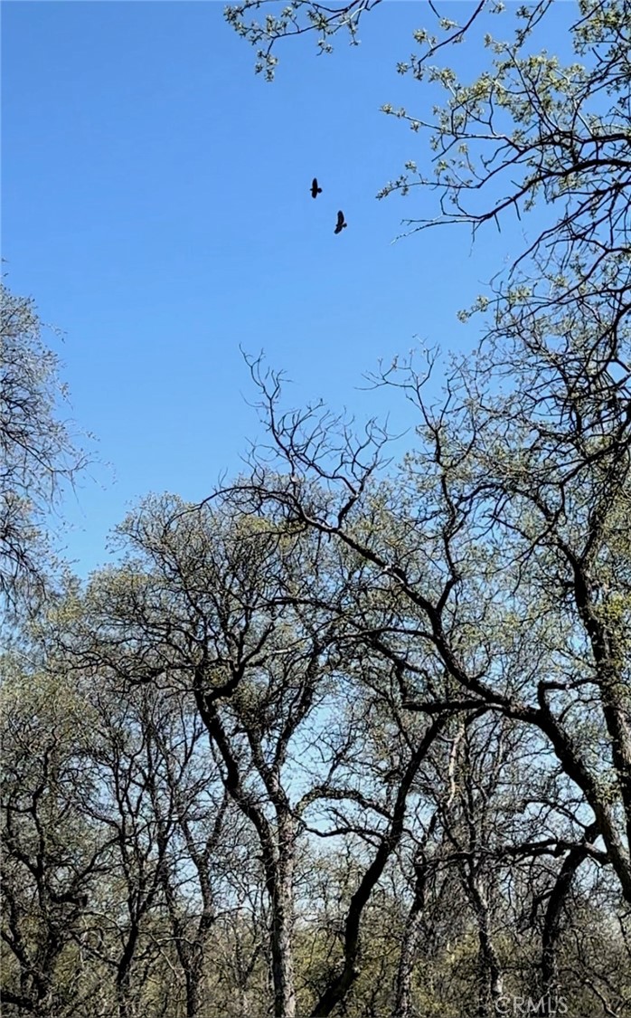 18461 Old Wards Ferry Road, Sonora, CA 95370