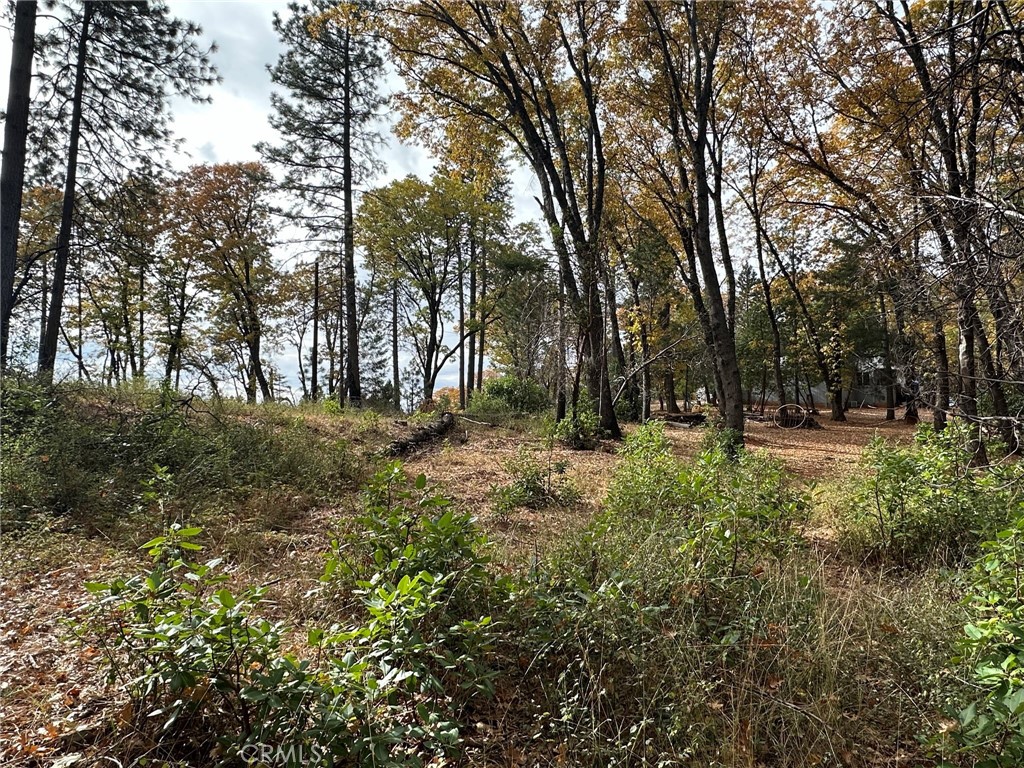 0 Bunker Hill Mine Rd, Yankee Hill, CA 95965