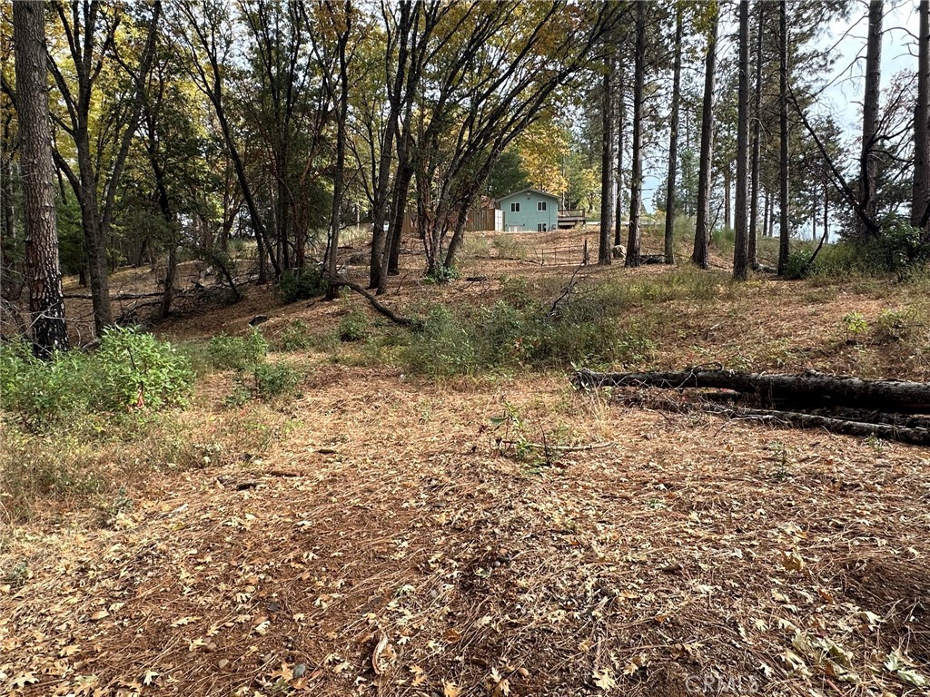 0 Bunker Hill Mine Rd, Yankee Hill, CA 95965