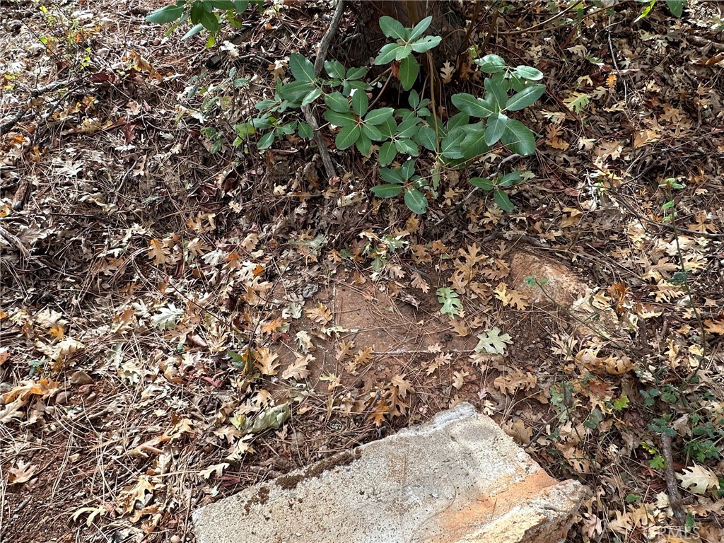 0 Bunker Hill Mine Rd, Yankee Hill, CA 95965