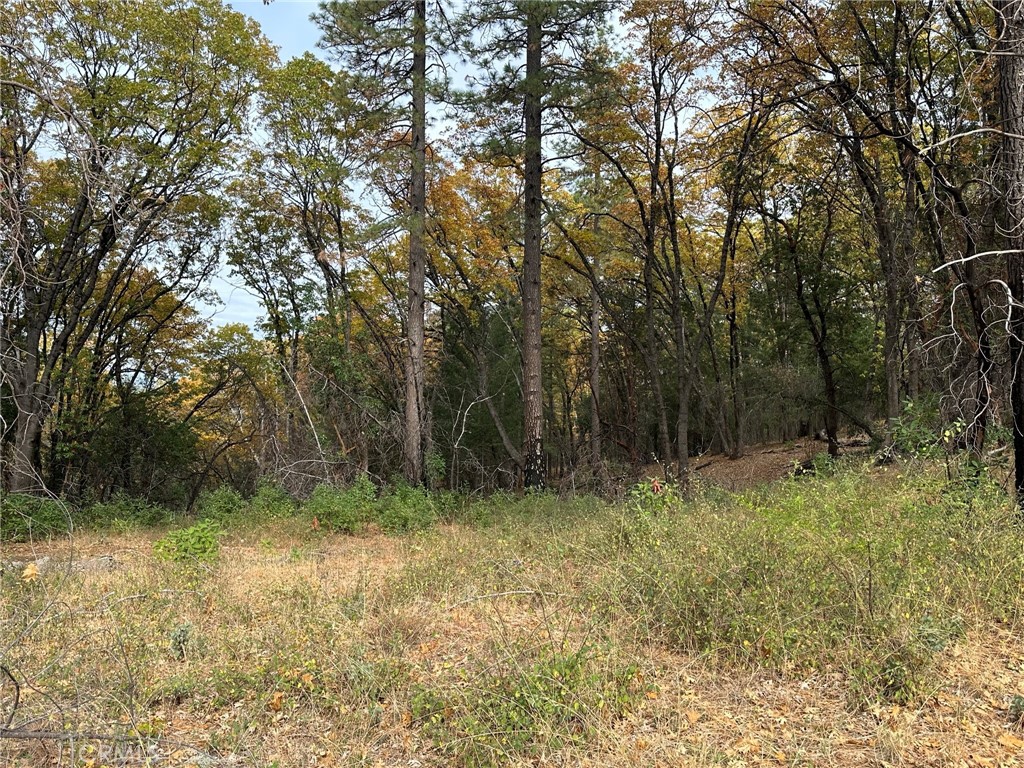 0 Bunker Hill Mine Rd, Yankee Hill, CA 95965