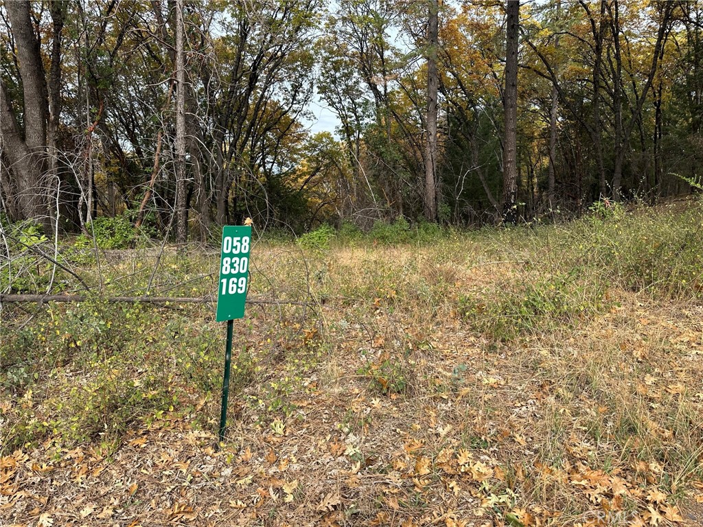 0 Bunker Hill Mine Rd, Yankee Hill, CA 95965