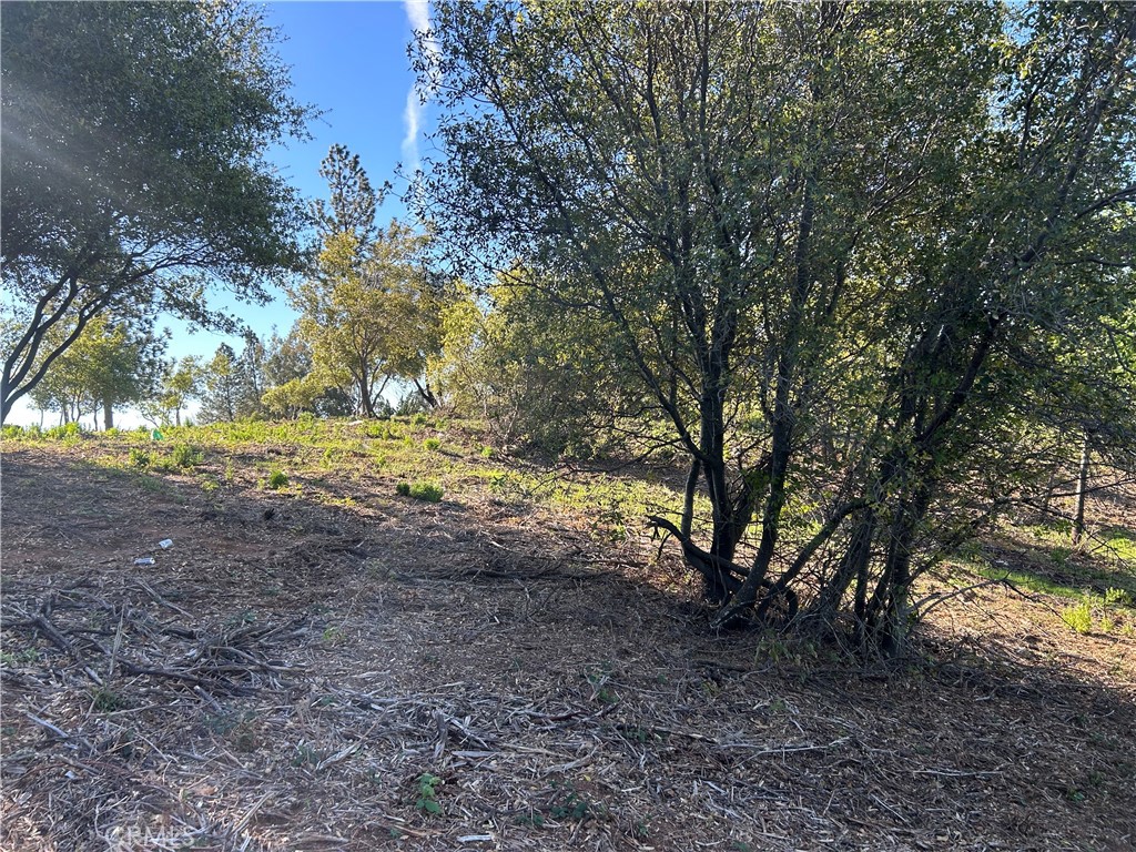 0 patengil, Yankee Hill, CA 95965