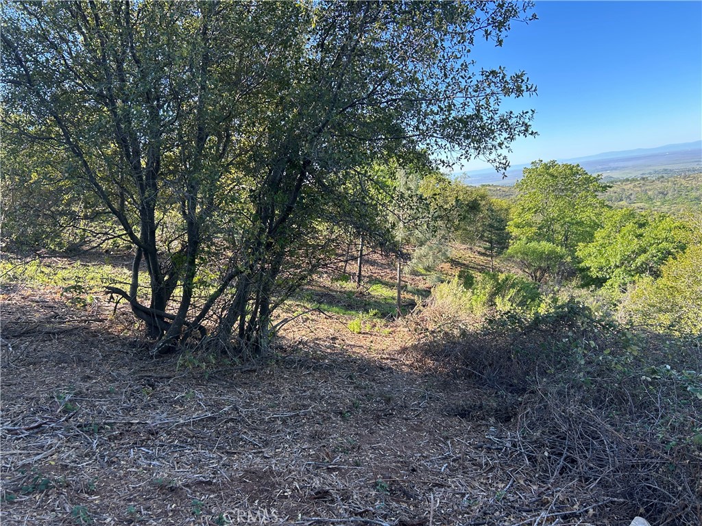 0 patengil, Yankee Hill, CA 95965