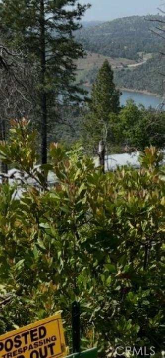 0 condor, Cherokee, CA 95965