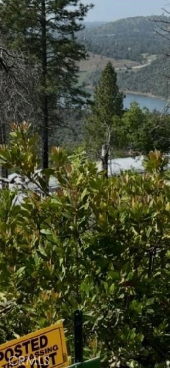 0 condor, Cherokee, CA 95965