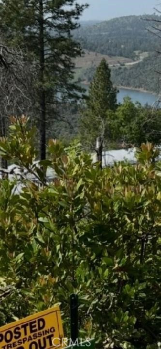 0 condor, Cherokee, CA 95965