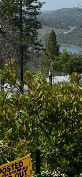 0 condor, Cherokee, CA 95965
