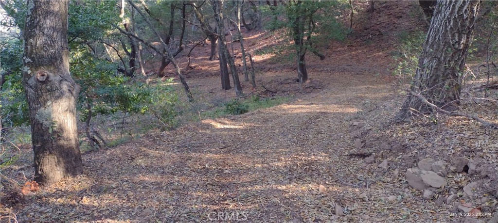 9500 Santa Rosa Creek Rd, Templeton, CA 93465