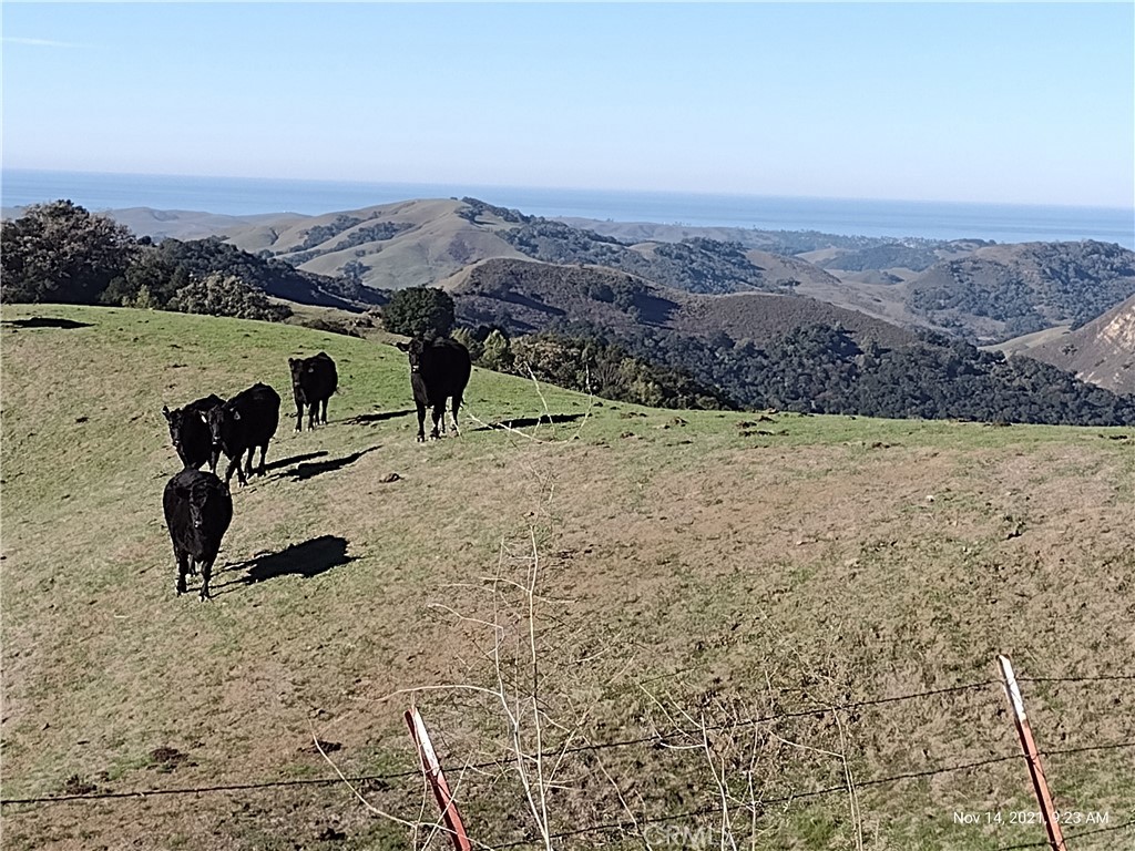 9500 Santa Rosa Creek Rd, Templeton, CA 93465