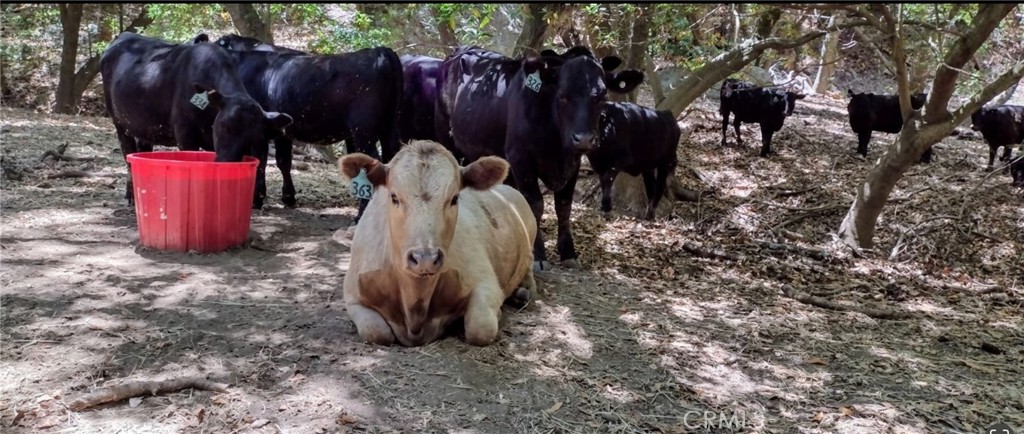 9500 Santa Rosa Creek Rd, Templeton, CA 93465