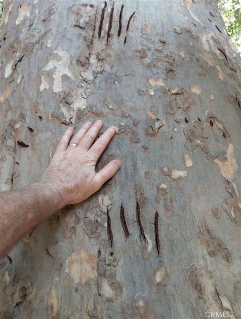 9500 Santa Rosa Creek Rd, Templeton, CA 93465