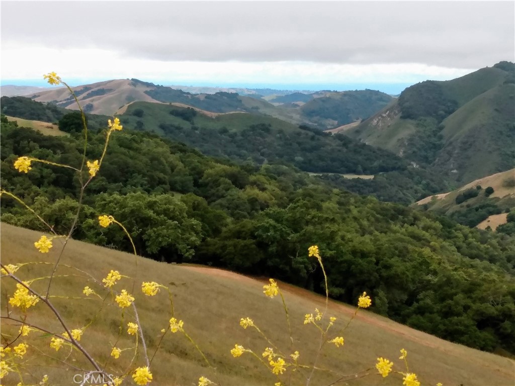 9500 Santa Rosa Creek Rd, Templeton, CA 93465