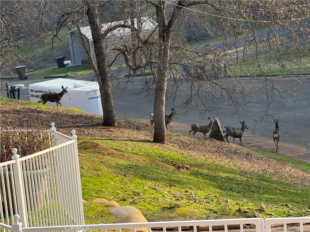 40820 Oak Ridge Dr, Three Rivers, CA 93271