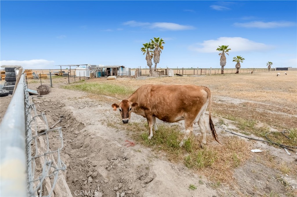 4306 Avenue 50, Alpaugh, CA 93201