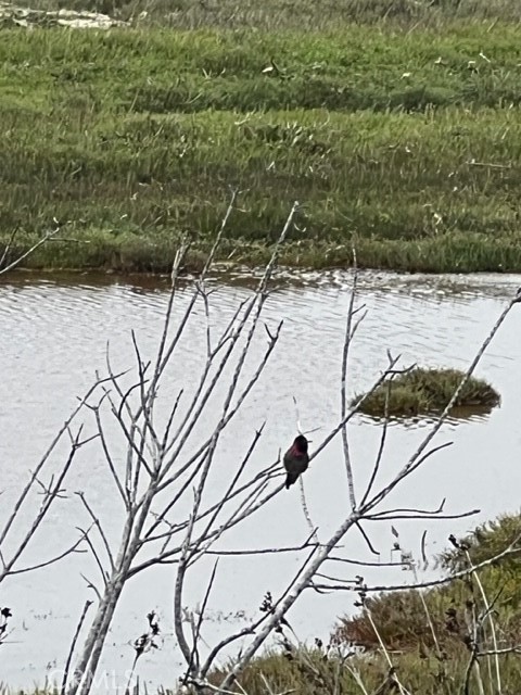 224 Butte Dr, Los Osos, CA 93402