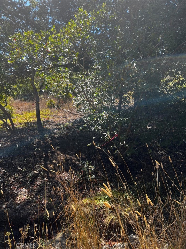 3236 Gleason St, Cambria, CA 93428