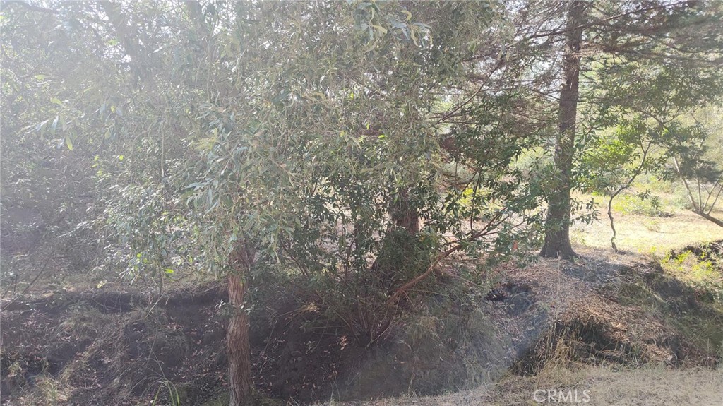 3236 Gleason St, Cambria, CA 93428