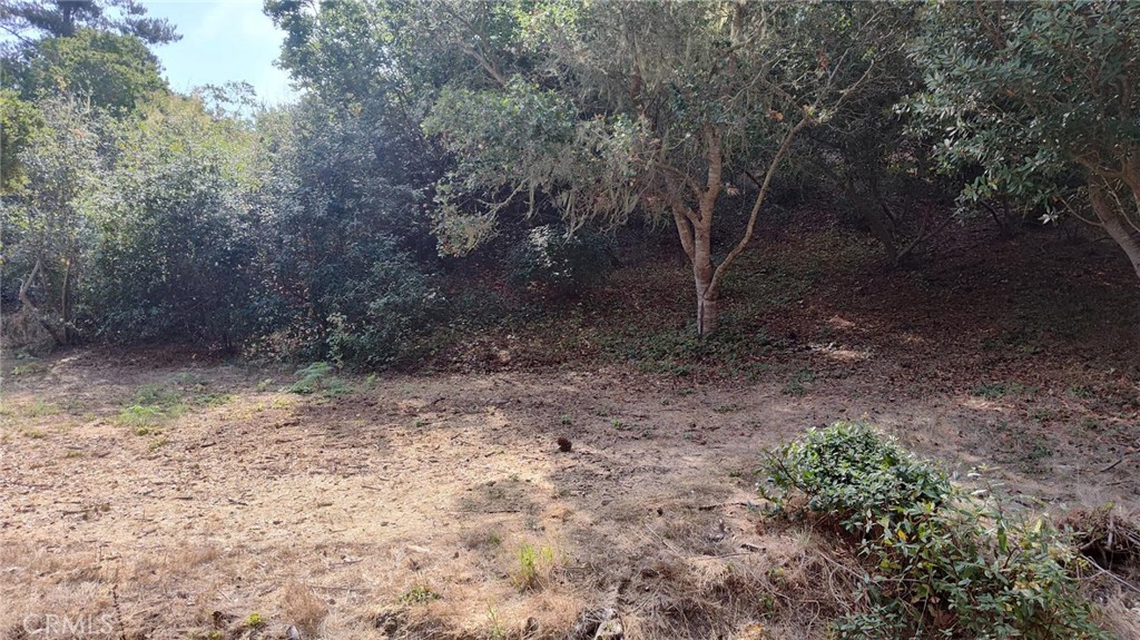 3236 Gleason St, Cambria, CA 93428