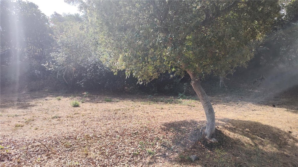 3236 Gleason St, Cambria, CA 93428