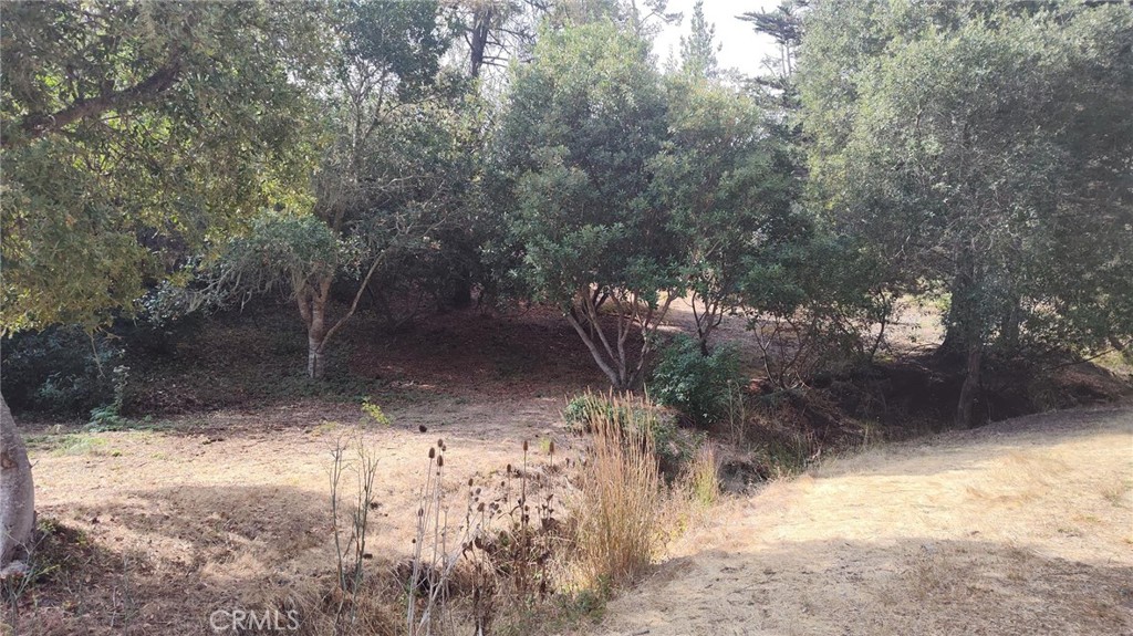 3236 Gleason St, Cambria, CA 93428