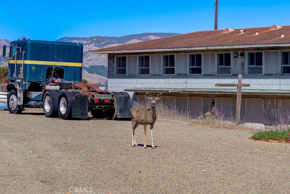 202 Monte Cristo Pl, Cambria, CA 93428