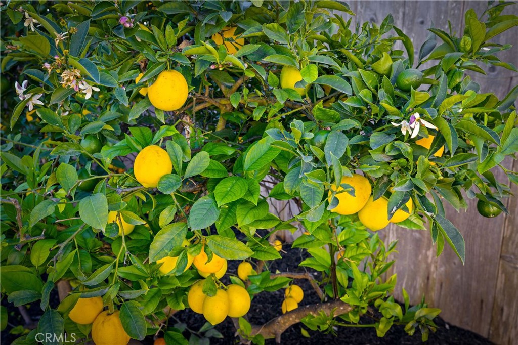 93 Chuparrosa Dr, San Luis Obispo, CA 93401