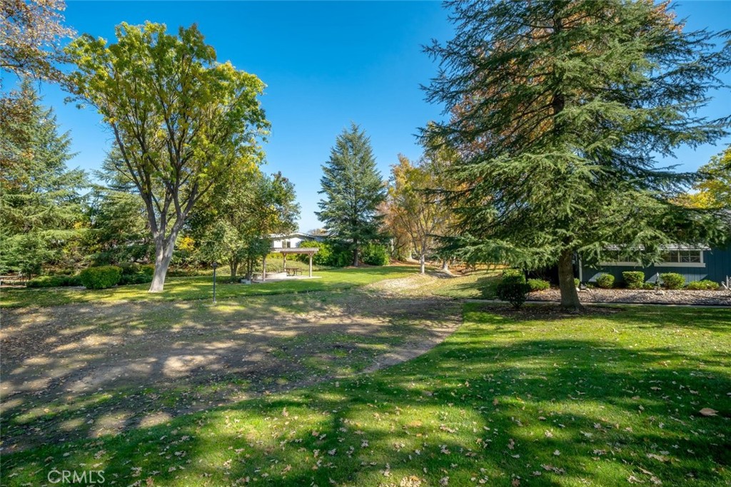 84 Laguna, Paso Robles, CA 93446