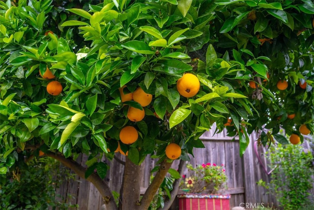 4553 Wavertree, San Luis Obispo, CA 93401