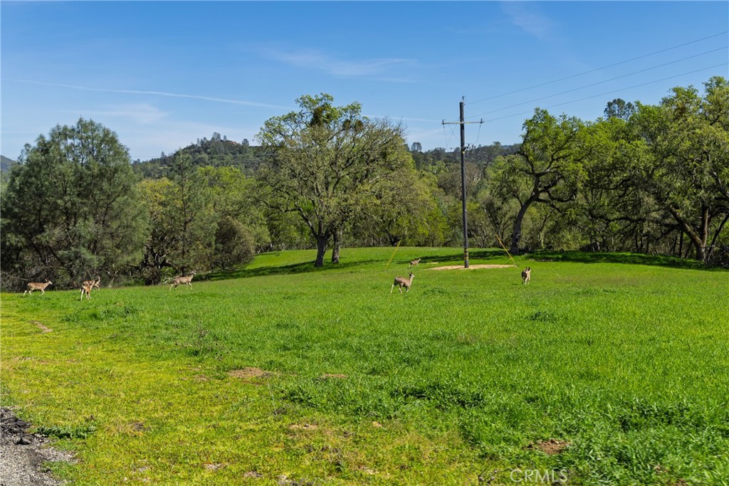 5550 Las Tablas Bay, Paso Robles, CA 93446