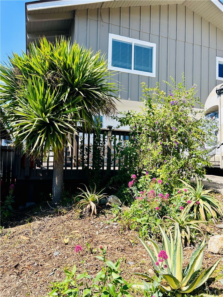 455 Orcas, Morro Bay, CA 93442