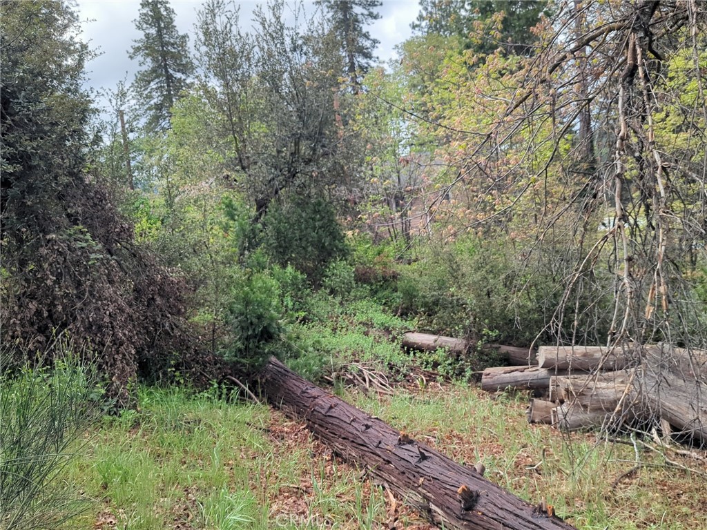 53309 Road 432, Bass Lake, CA 93604