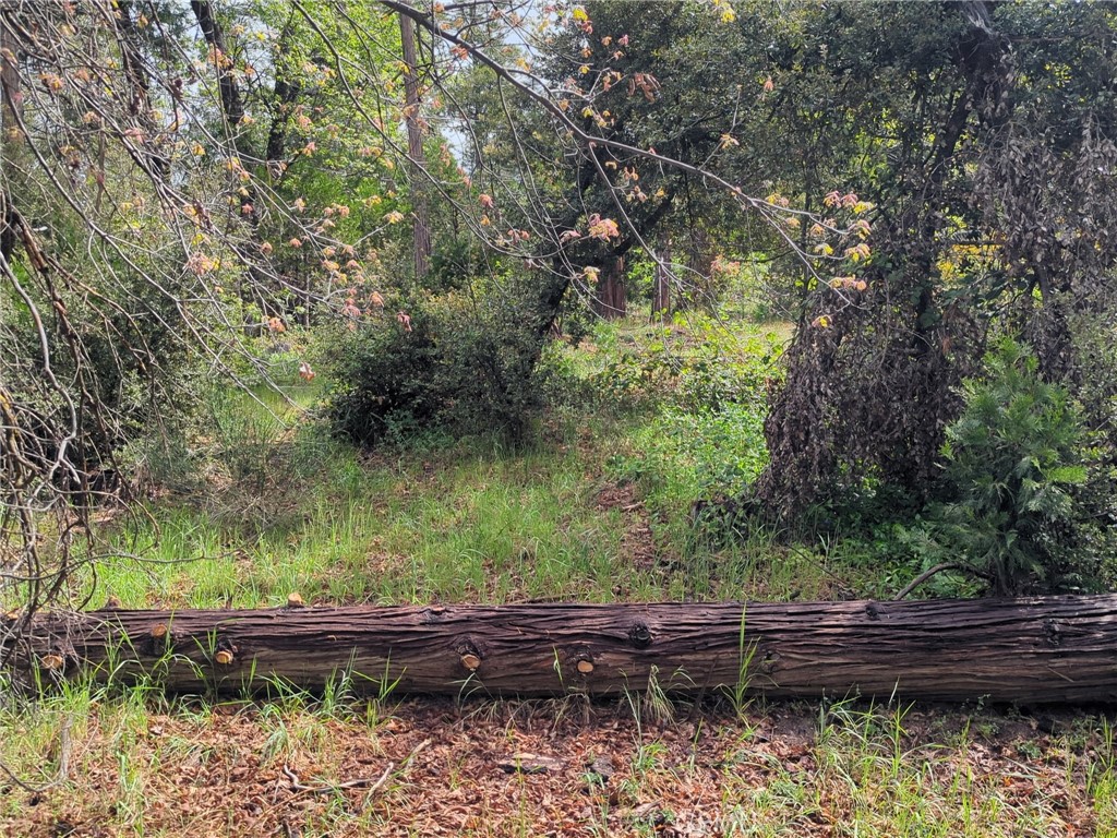 53309 Road 432, Bass Lake, CA 93604