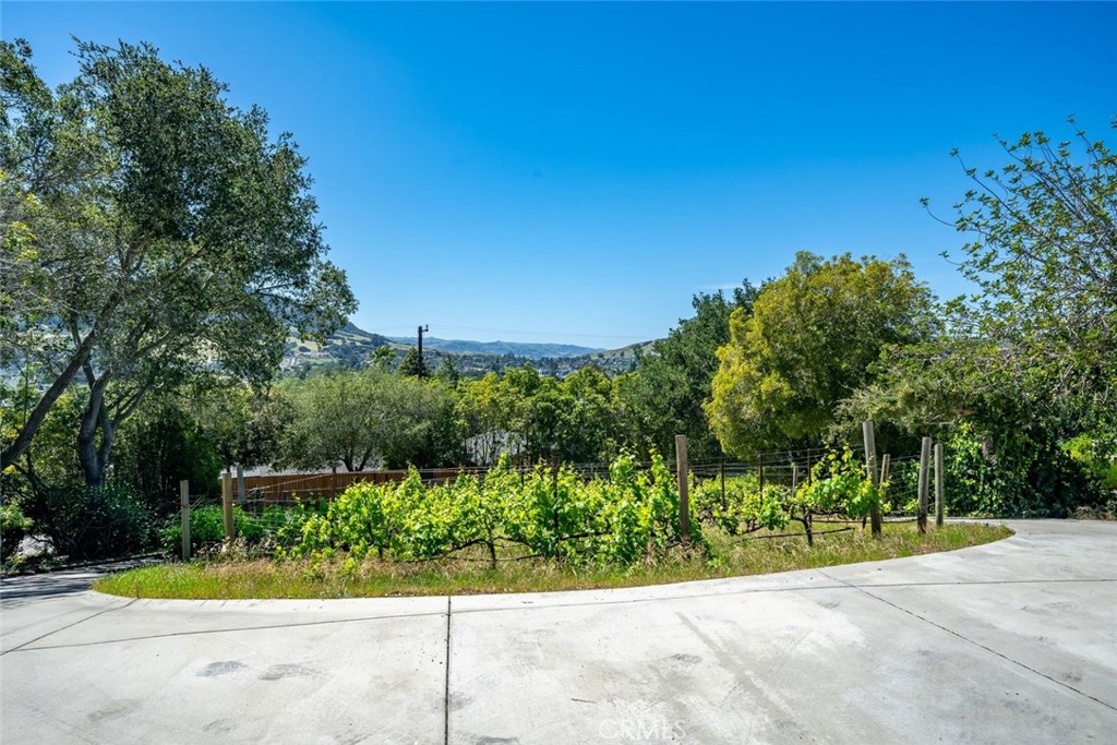 161 Longview Ln, San Luis Obispo, CA 93405