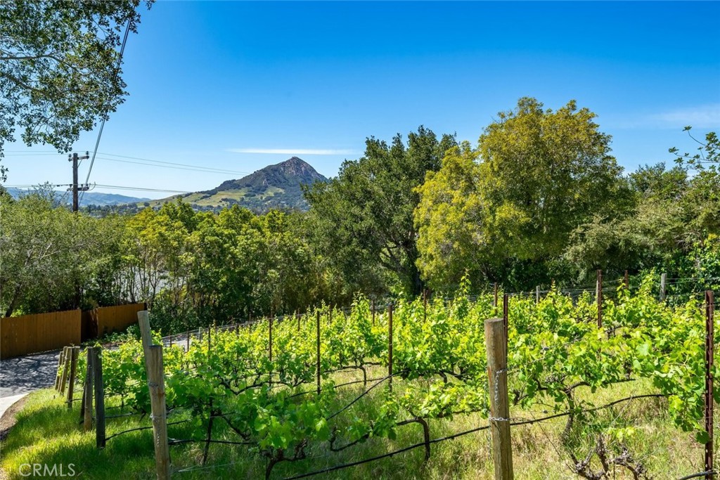 161 Longview Ln, San Luis Obispo, CA 93405