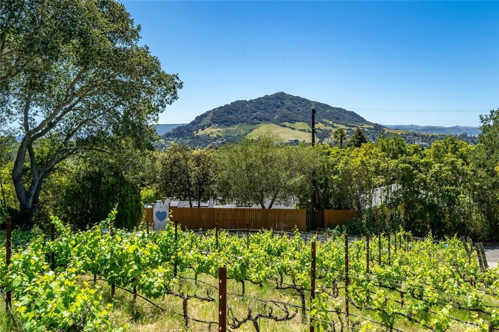 161 Longview Ln, San Luis Obispo, CA 93405