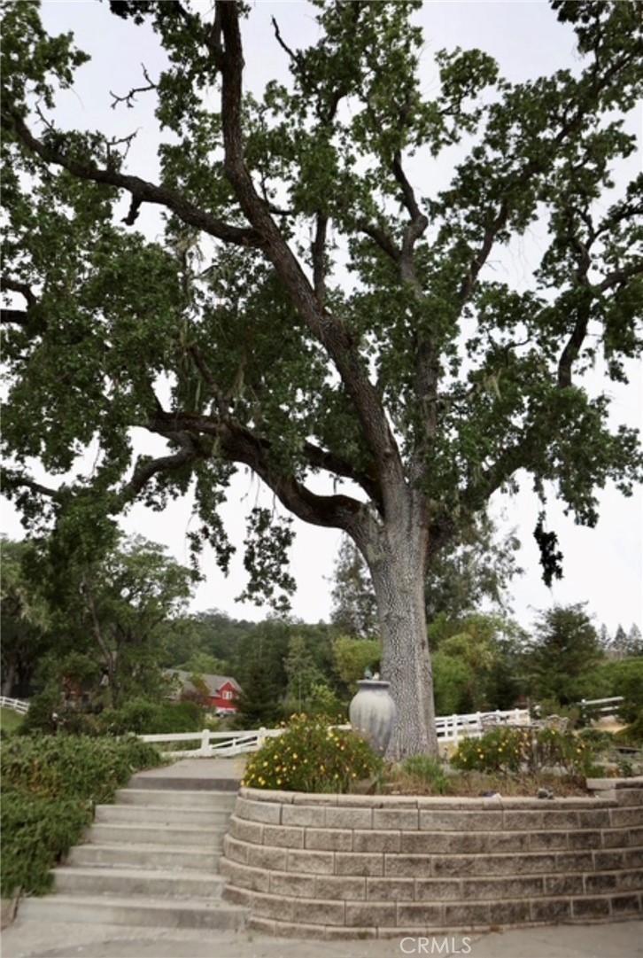 3200 San Fernando, Atascadero, CA 93422