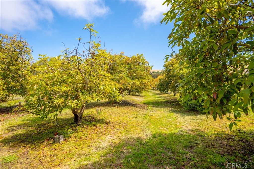 1301 Little Morro Creek Rd, Morro Bay, CA 93442