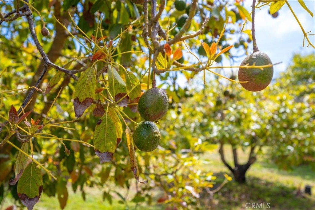 1301 Little Morro Creek Rd, Morro Bay, CA 93442