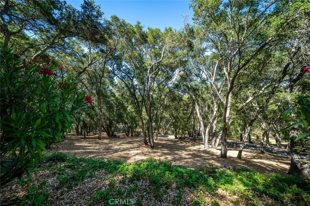 1731 San Fernando Rd, Atascadero, CA 93422