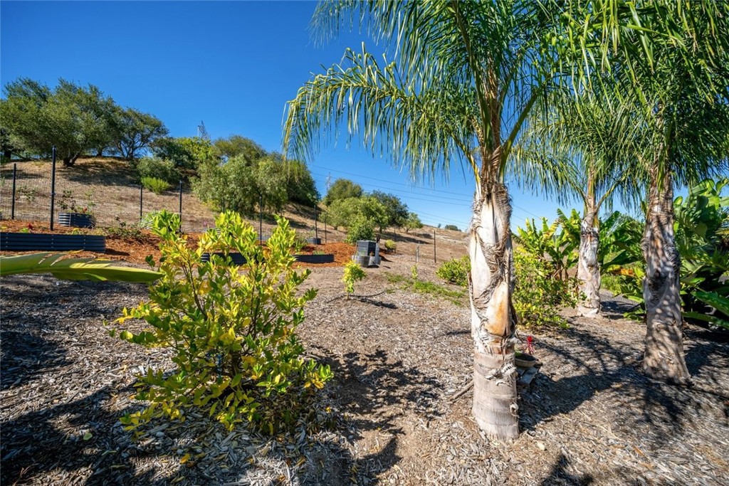 850 Bassi Dr., San Luis Obispo, CA 93405