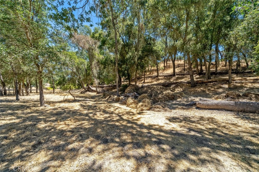 1457 Brambles Ct, Templeton, CA 93465