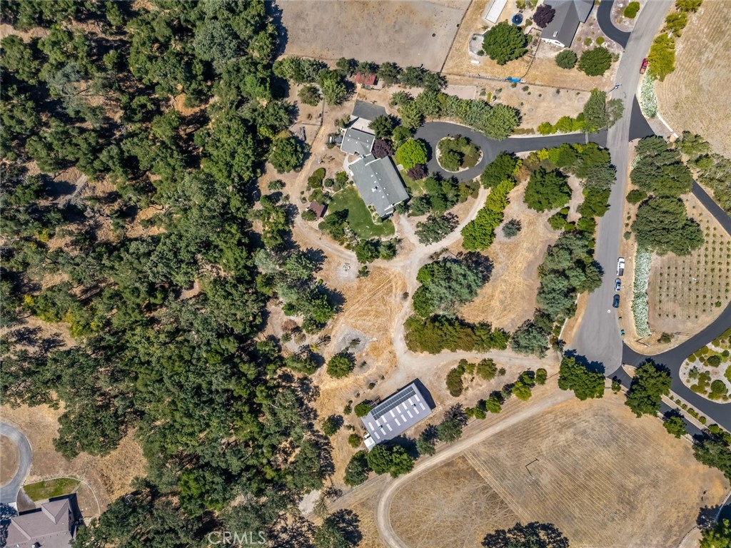 1457 Brambles Ct, Templeton, CA 93465