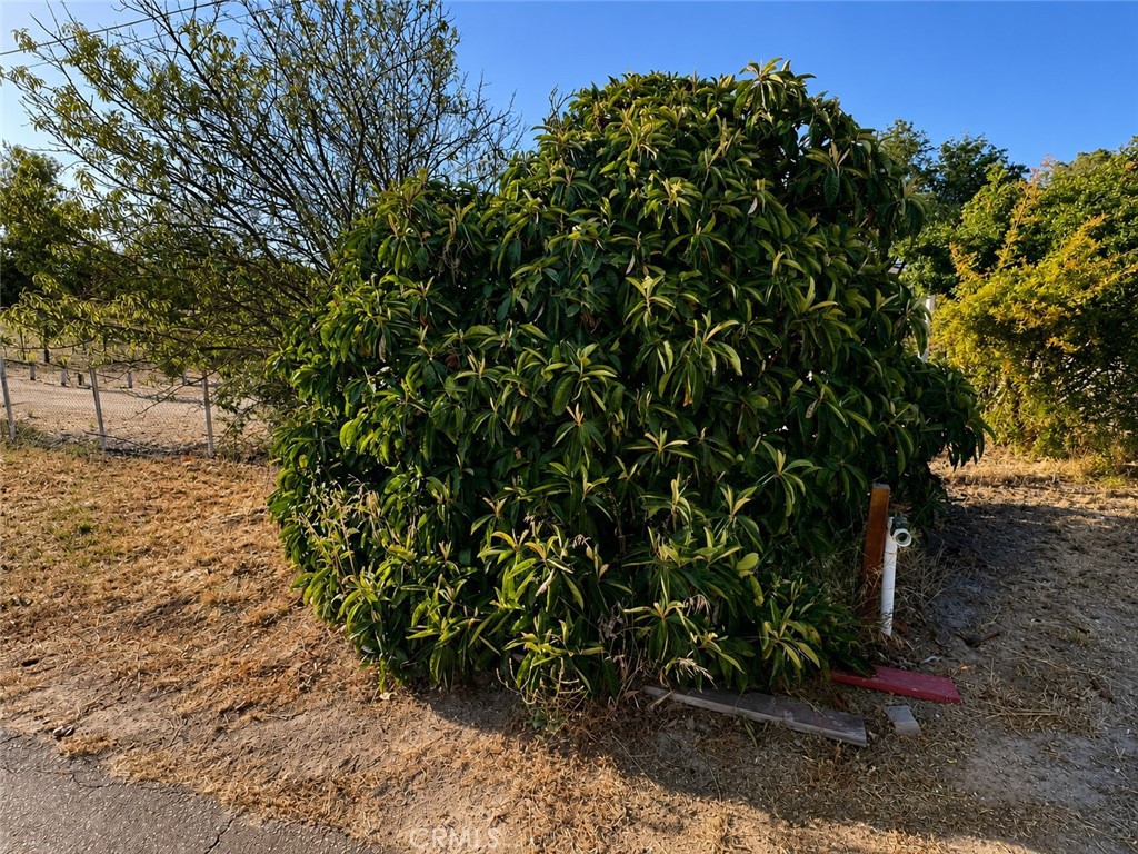 5430 Fa-Rousse, Paso Robles, CA 93446