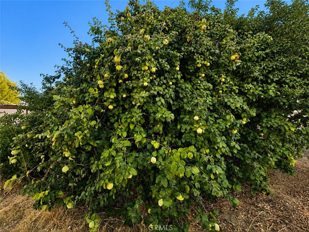 5430 Fa-Rousse, Paso Robles, CA 93446