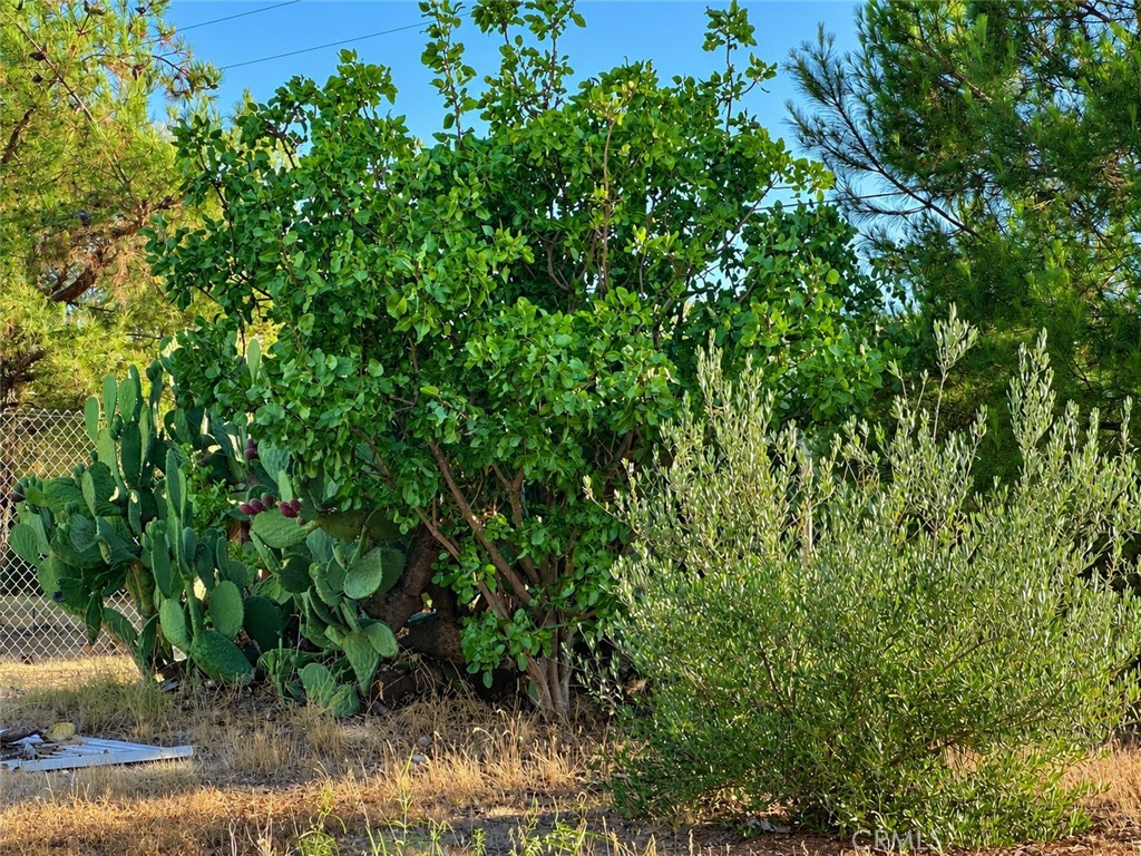 5430 Fa-Rousse, Paso Robles, CA 93446