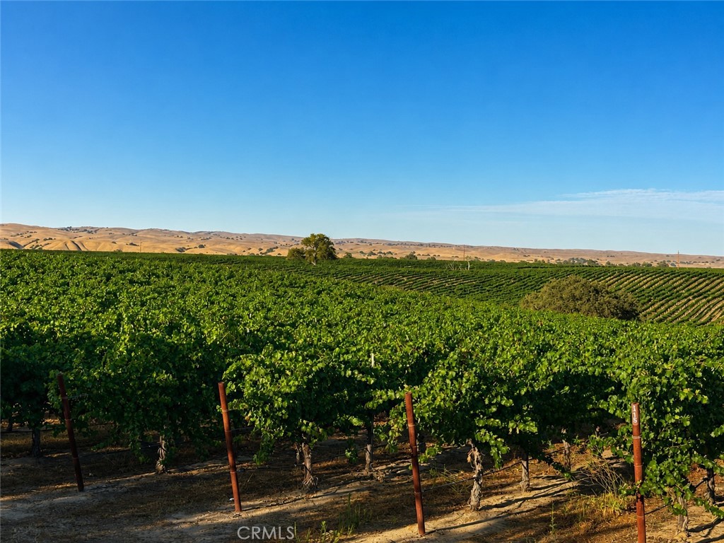 5430 Fa-Rousse, Paso Robles, CA 93446