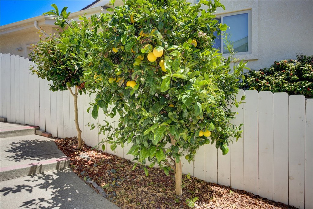 261 Coral Ct, Pismo Beach, CA 93449