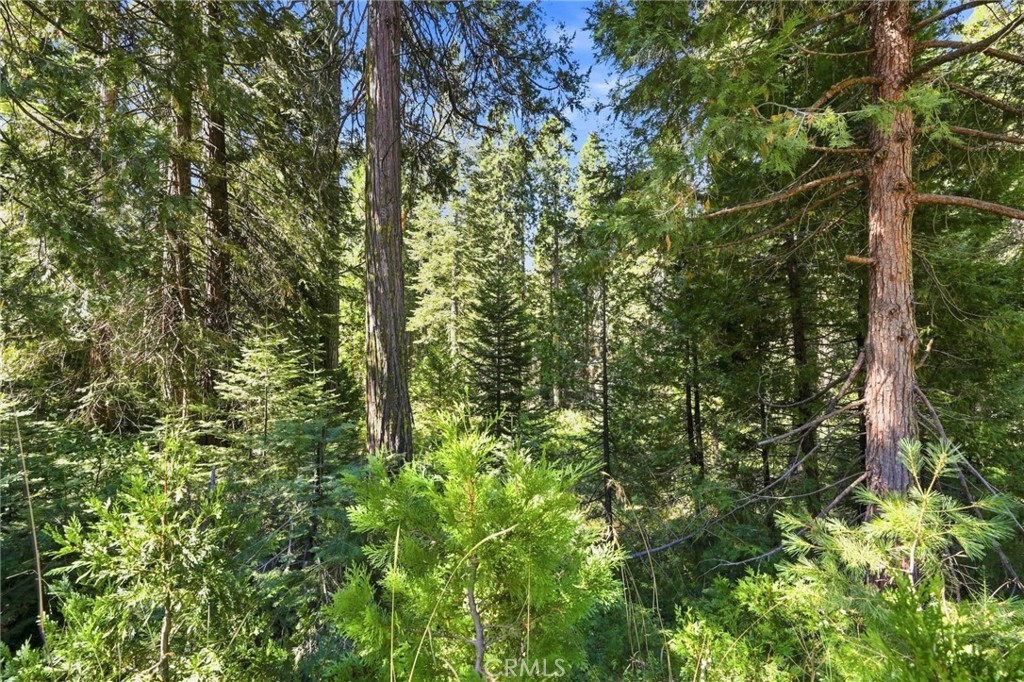 39730 Fox Glove Ln, Shaver Lake, CA 93664