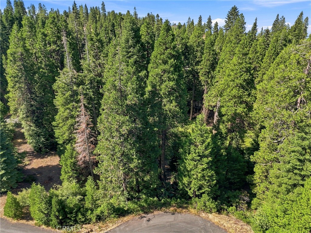 39730 Fox Glove Ln, Shaver Lake, CA 93664